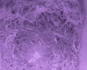 20230414-2030-nistkasten