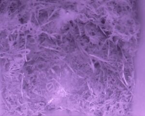 20230415-0130-nistkasten