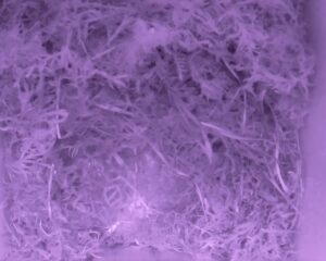 20230415-0330-nistkasten
