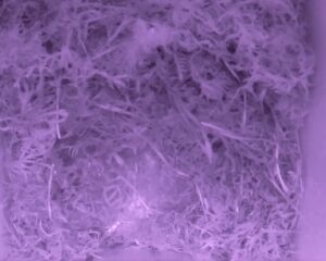 20230415-0430-nistkasten