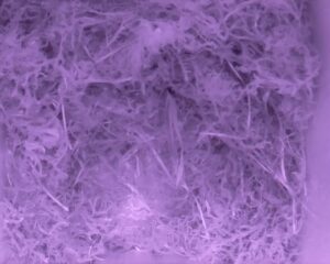 20230416-0530-nistkasten
