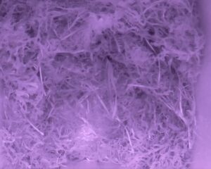 20230417-0430-nistkasten