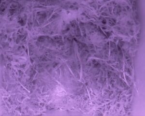 20230418-0230-nistkasten