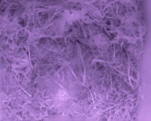 20230419-0130-nistkasten