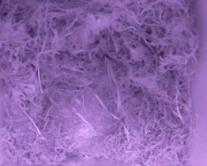 20230423-0030-nistkasten