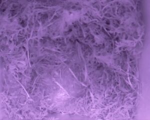 20230423-0230-nistkasten