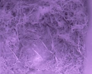 20230423-0330-nistkasten