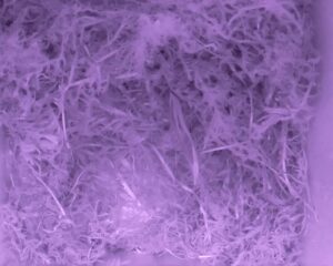 20230423-2130-nistkasten