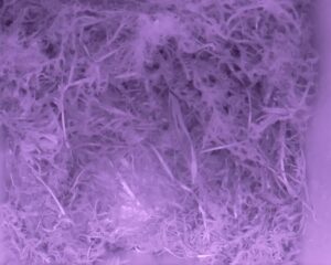 20230423-2230-nistkasten