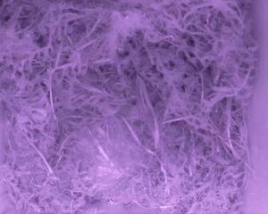 20230423-2330-nistkasten