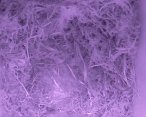20230424-0030-nistkasten
