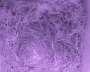 20230424-0130-nistkasten