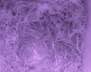 20230424-0230-nistkasten