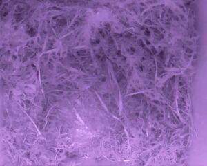 20230424-0330-nistkasten