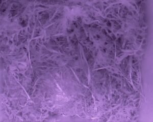 20230424-0430-nistkasten
