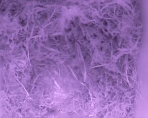 20230424-2130-nistkasten