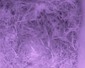20230424-2230-nistkasten