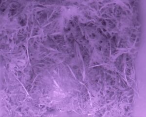 20230424-2330-nistkasten
