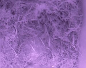 20230425-0030-nistkasten