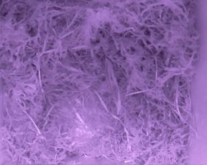 20230425-0130-nistkasten