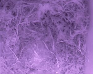 20230425-0230-nistkasten