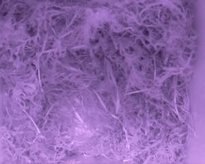 20230425-0330-nistkasten