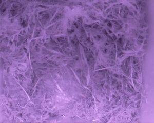 20230425-0430-nistkasten