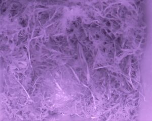 20230425-2130-nistkasten