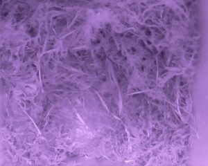 20230426-0030-nistkasten