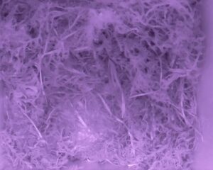 20230426-0130-nistkasten