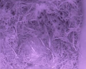 20230426-0230-nistkasten