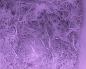 20230426-0330-nistkasten