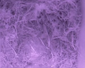 20230426-0430-nistkasten