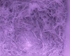 20230426-2230-nistkasten