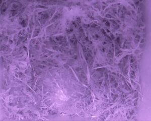 20230427-0030-nistkasten