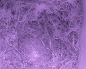 20230427-0130-nistkasten
