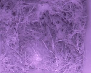 20230427-0230-nistkasten