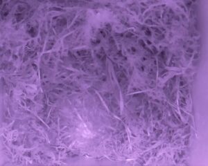 20230427-0330-nistkasten