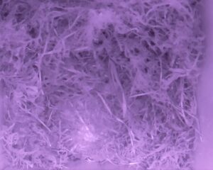 20230427-0430-nistkasten
