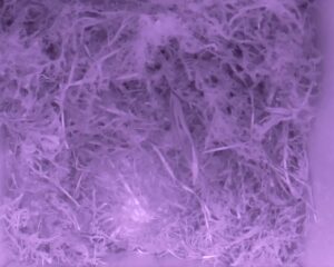 20230427-0530-nistkasten