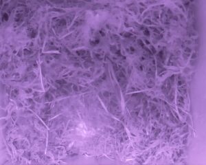 20230428-0230-nistkasten