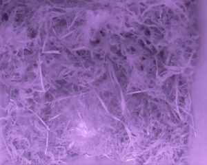 20230428-0430-nistkasten