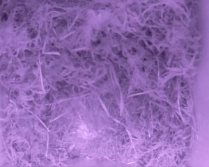 20230429-0030-nistkasten
