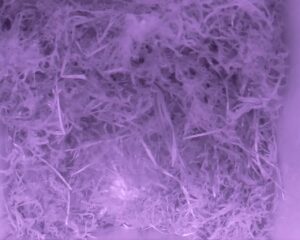 20230429-0230-nistkasten