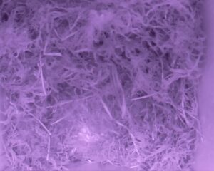 20230430-0230-nistkasten