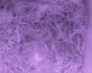 20230430-0330-nistkasten