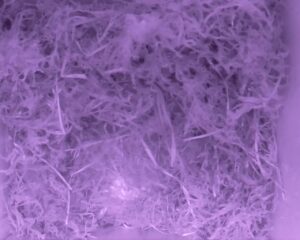 20230430-0430-nistkasten
