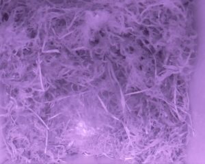 20230501-0030-nistkasten