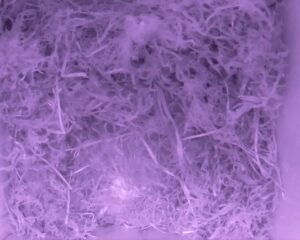 20230501-0130-nistkasten