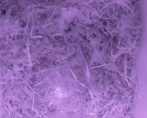 20230501-0230-nistkasten